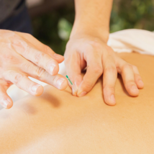 Getting the Body You Want