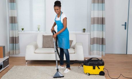 Introduction to House Cleaning