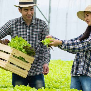 Organic Food Gardening Online Course