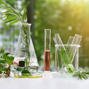 Introduction to plant biology and botany