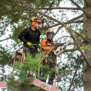 Chainsaw Safety Training