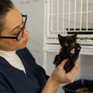 Diploma in Animal Care Level 5