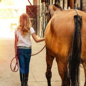 Diploma in Horse Care and Stable Management Level 5