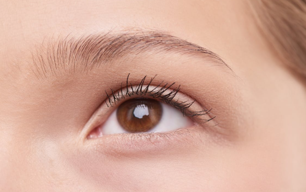 Lash