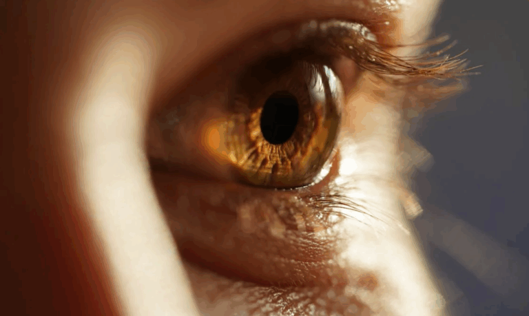 Why Lash Lift Training is a Must for Every Beauty Pro